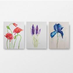 kwiaty,akwarela,zestaw obrazów z kwiatami - Obrazy - Wyposażenie wnętrz