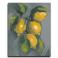 Obrazy cytryny,owoce,świezość,martwa natura,żółty