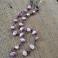 Kolczyki kolczyki srebro perły,długie,kobiece,różowe