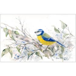 sikorka modra akwarela,ptak,malarstwo,obraz - Obrazy - Wyposażenie wnętrz