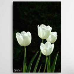 tulipany,kwiaty do salonu,obraz,dekoracja scienna - Ilustracje, rysunki, fotografia - Wyposażenie wnętrz