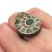 Pierścionki amonit,srebrny pierścionek ze skamieniałą muszlą
