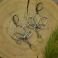 Kolczyki kolczyki,długie,wire wrapping,cytryn,kwiat lotosu
