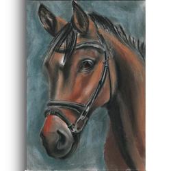 koń,portret,łeb konia,gniada,karino,stadnina - Ilustracje, rysunki, fotografia - Wyposażenie wnętrz