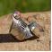 Pierścionki srebrny pierścionek z turmalinem arbuzowym