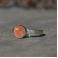 Pierścionki pomarańczowy pierścionek z kwarcem turmalinowym