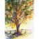 Obrazy obrazek jesienne drzewo,akwarela,jesień