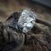 Pierścionki srebrny,pierścionek,z ammolitem,zaręczynowy