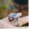 Pierścionki duży srebrny pierścionek z kryształem górskim