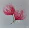 Obrazy magnolie,kwiaty,akwarela