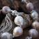 Naszyjniki srebrny,naszyjnik,z perłami barokowymi