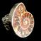 Pierścionki pierścionek srebrny pradawny skarb,amonit