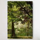 Ilustracje, rysunki, fotografia park,drzewa,romantycznie,bajkowo,pejzaz,natura