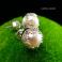 Kolczyki ozdobne kolczyki z perłami,lekkie,krótkie,ślub